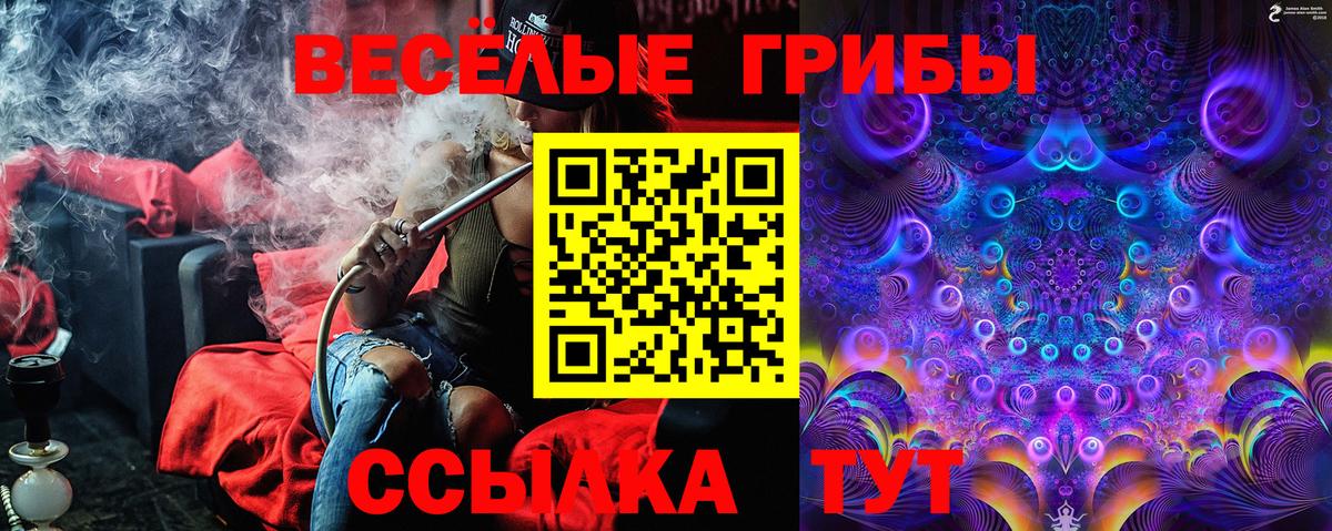 Севастополь  Галлюциногенные грибы прущие грибы  Вход с VPN 