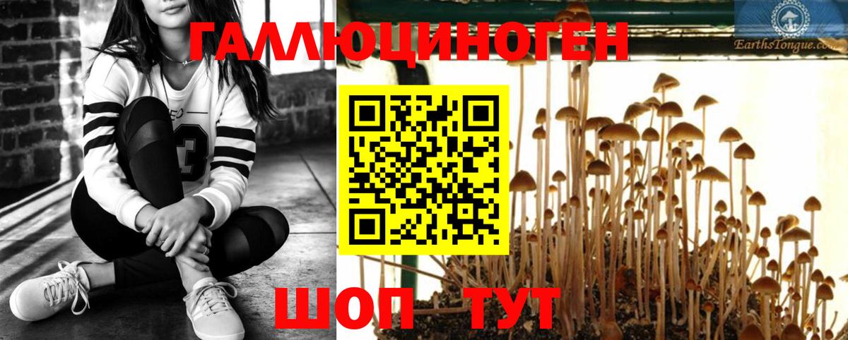 Галлюциногенные грибы мухоморы Севастополь